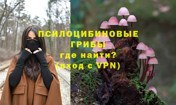 дмт Алексин